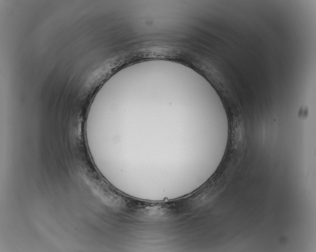 X0000114730310200911121800