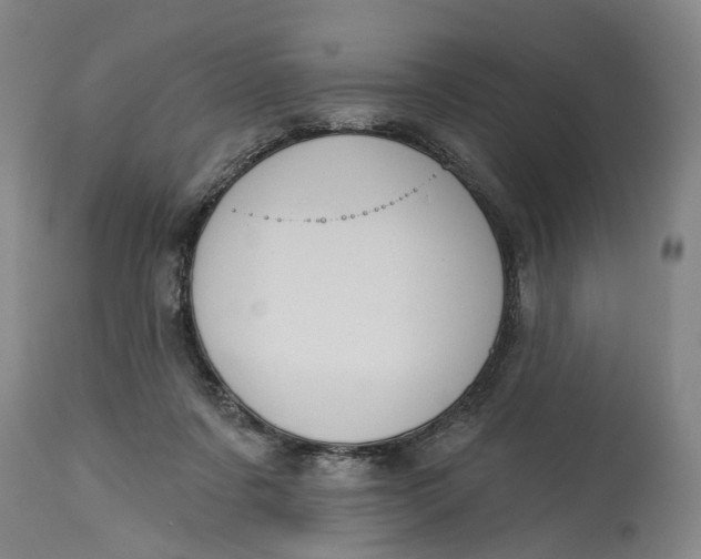 X0000114730311200911121800