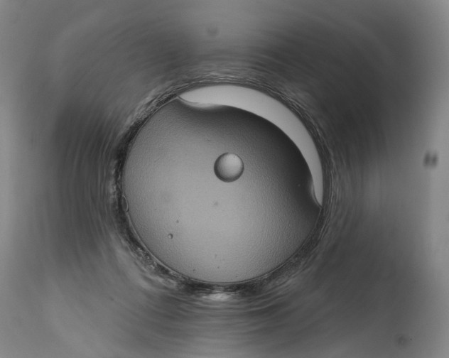 X0000114730312200911121800