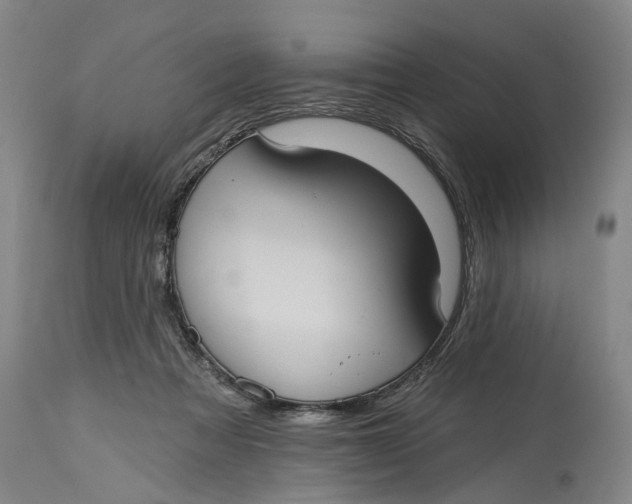 X0000114730313200911121800