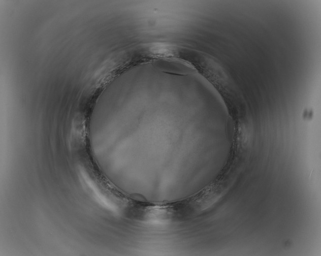 X0000114730320200911121800