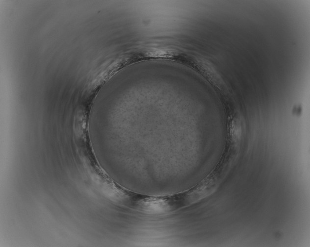 X0000114730322200911121800