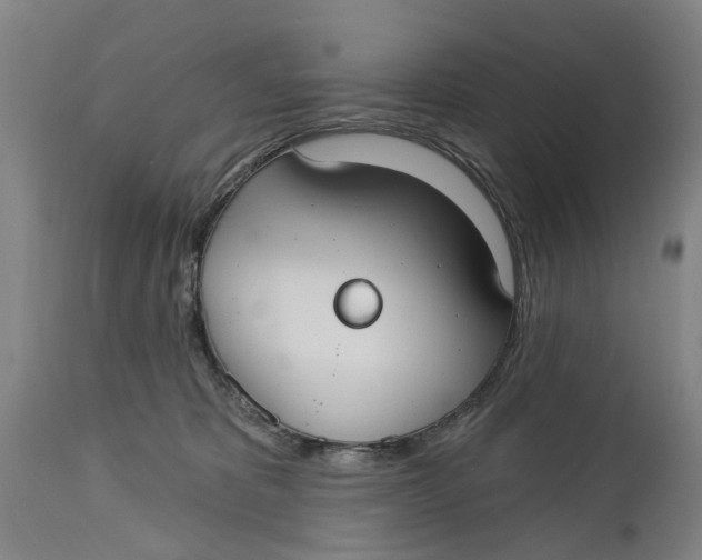 X0000114730325200911121800