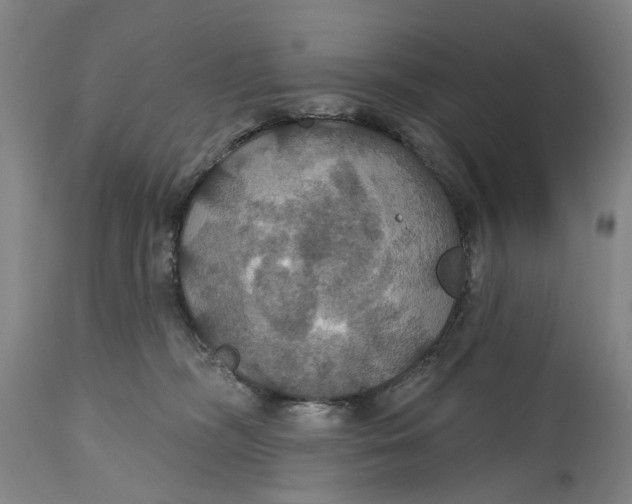 X0000114730326200911121800