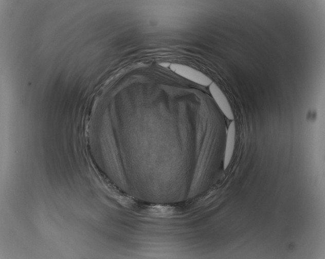 X0000114730328200911121800