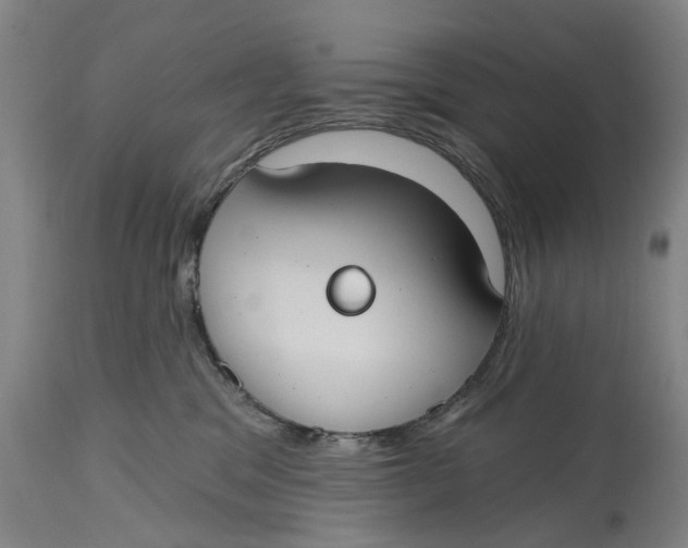 X0000114730329200911121800