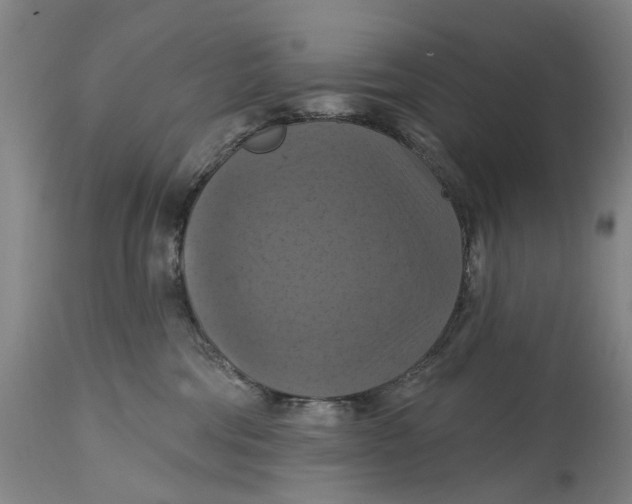 X0000114730330200911121800