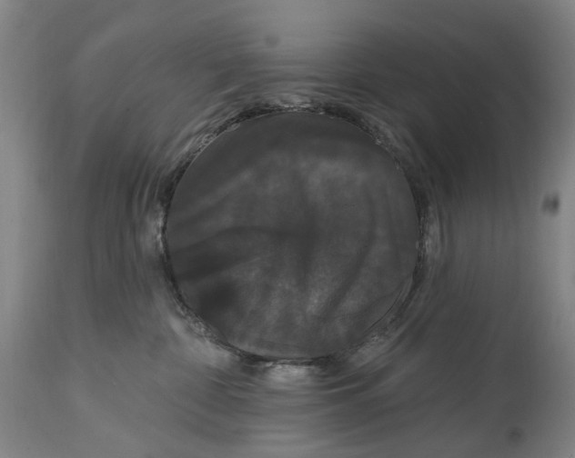 X0000114730332200911121800