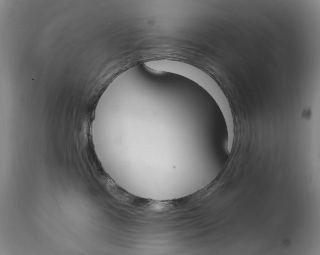 X0000114730333200911121800