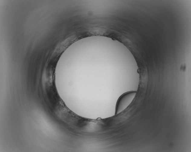 X0000114730334200911121800