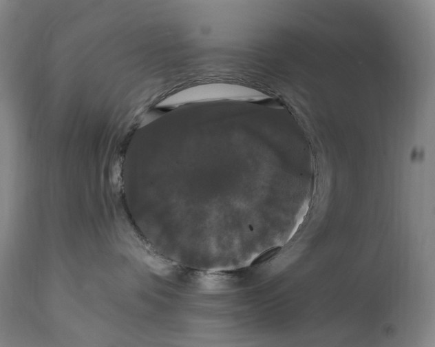 X0000114730336200911121800