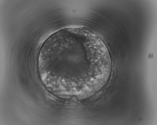 X0000114730337200911121759