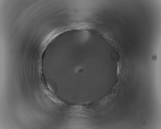 X0000114730339200911121759