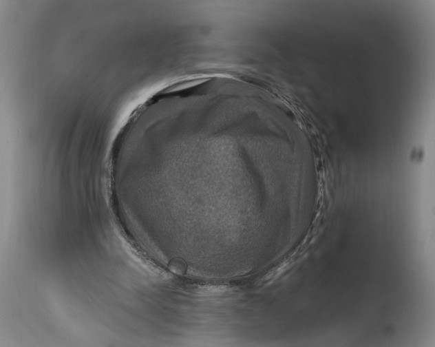 X0000114730342200911121759