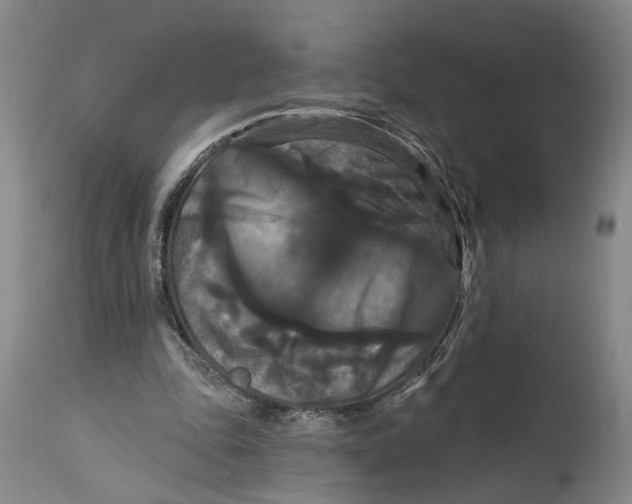 X0000114730343200911121759