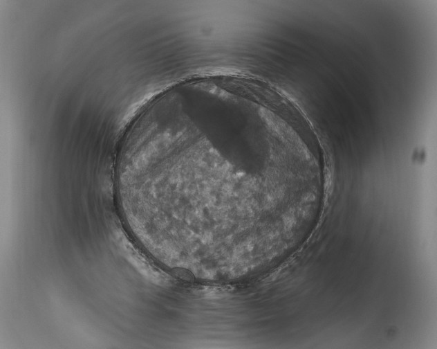 X0000114730345200911121800