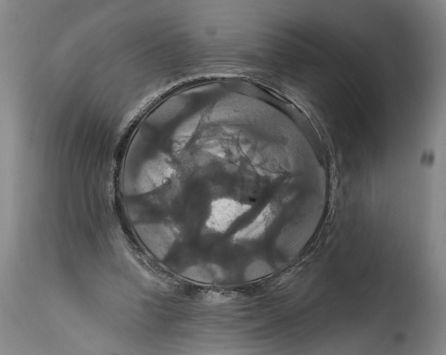 X0000114730346200911121800