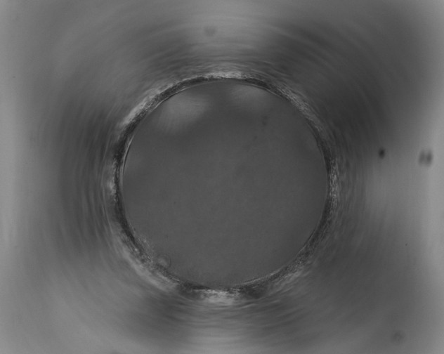 X0000114730347200911121800