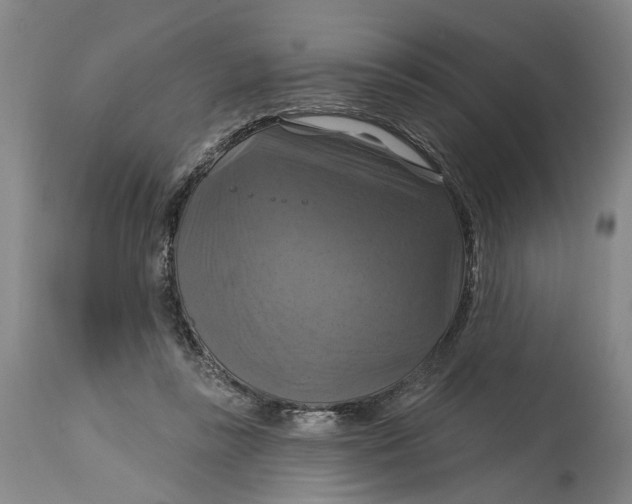 X0000114730355200911121800