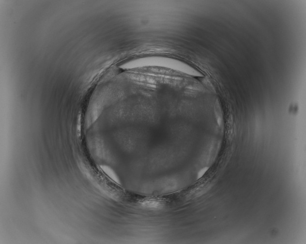 X0000114730358200911121800