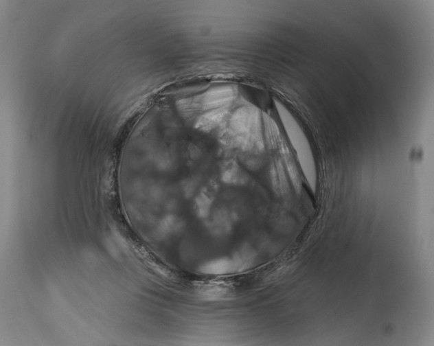 X0000114730359200911121800