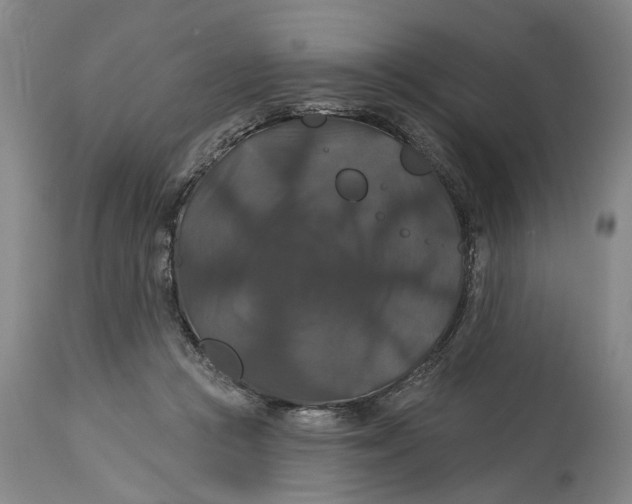 X0000114730361200911121800