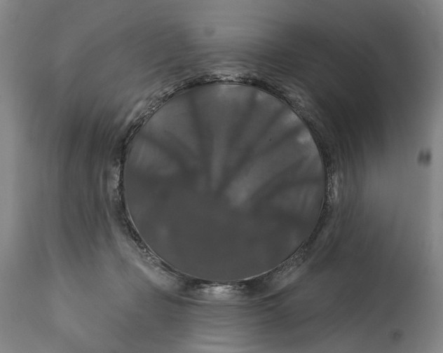 X0000114730365200911121800