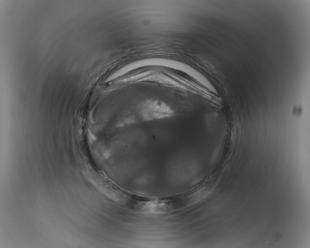 X0000114730366200911121800