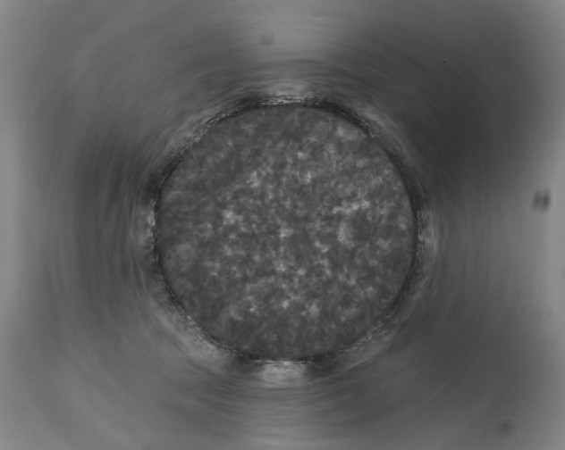 X0000114730369200911121800