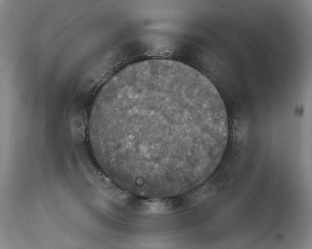 X0000114730370200911121800