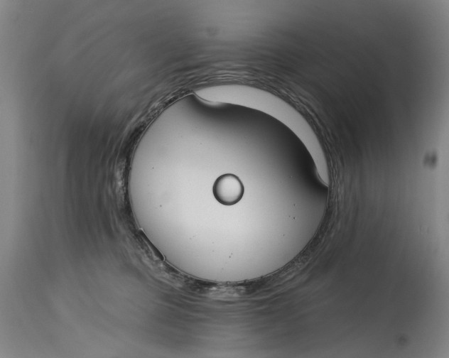 X0000114730373200911121800