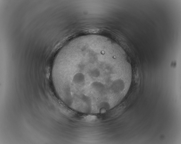 X0000114730374200911121800