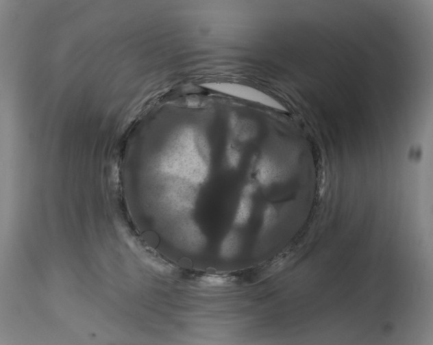 X0000114730375200911121800