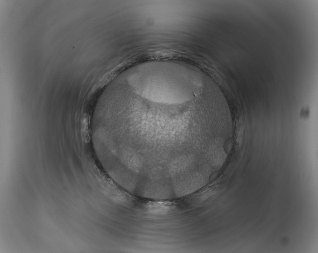 X0000114730378200911121800