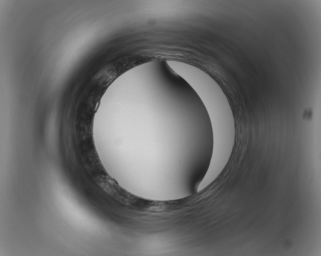 X0000114730381200911121800