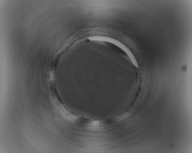 X0000114730382200911121800