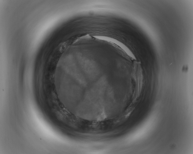 X0000114730383200911121800