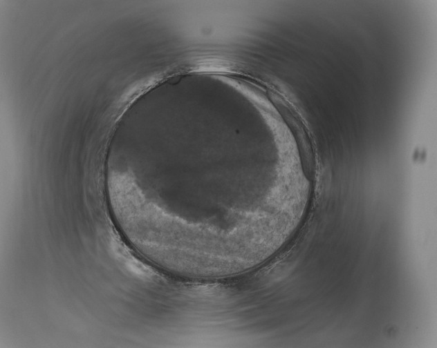 X0000114730385200911121759