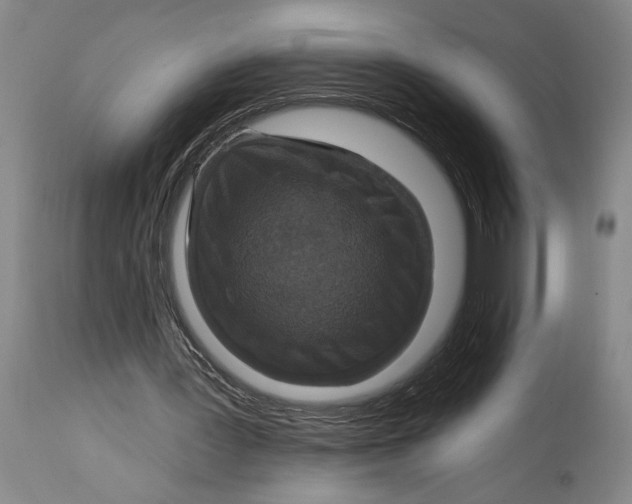 X0000114730387200911121759