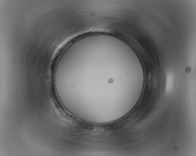 X0000114730388200911121759