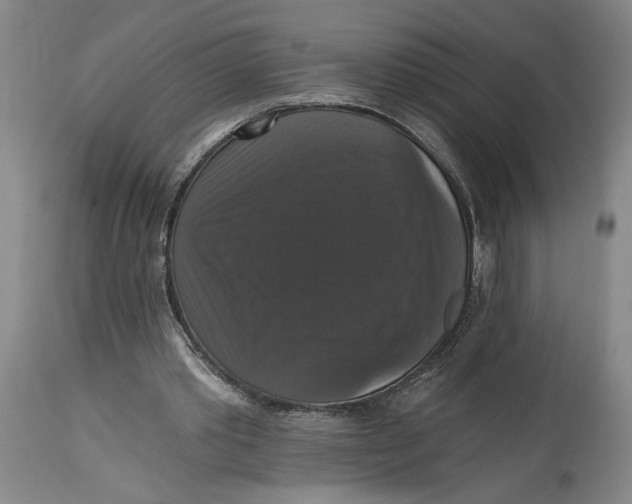 X0000114730389200911121759