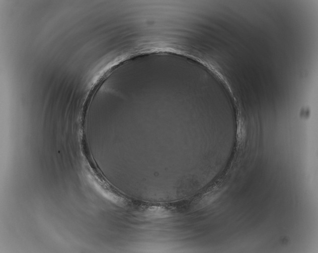 X0000114730390200911121759