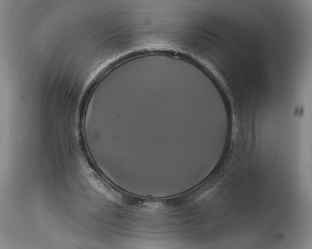 X0000114730391200911121759