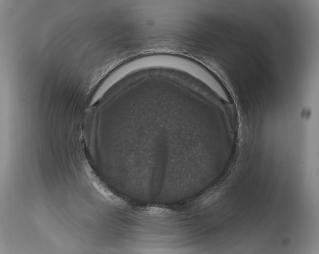 X0000114730393200911121759