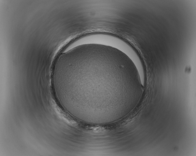 X0000114730395200911121759