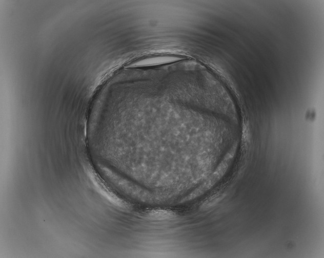 X0000114730397200911121759