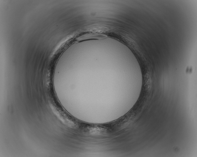 X0000114730400200911121759