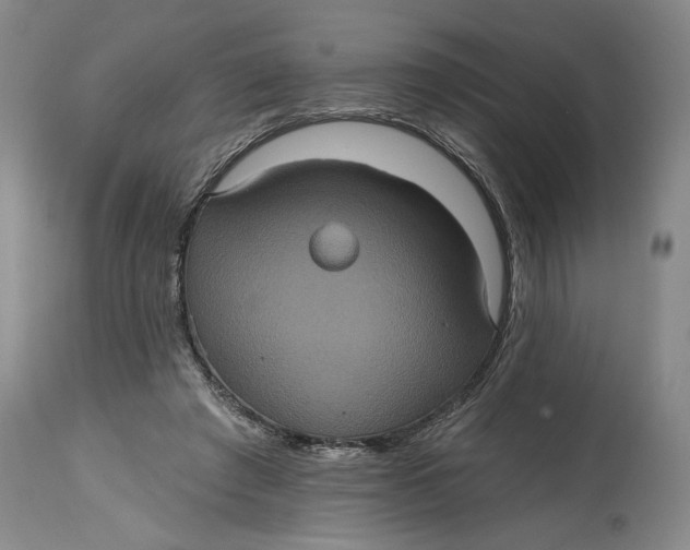 X0000114730401200911121759