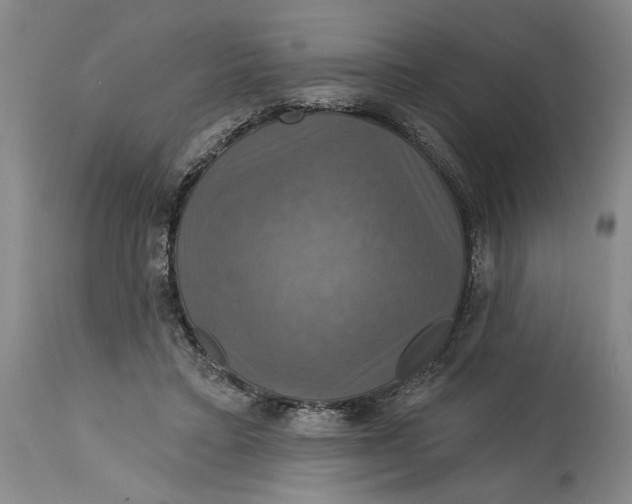 X0000114730403200911121759