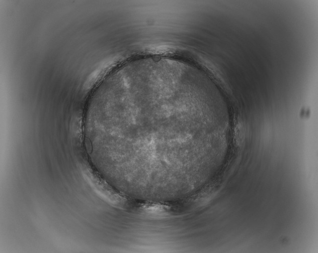 X0000114730407200911121759